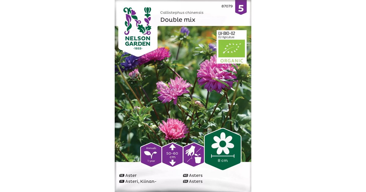 Aster Double Mix