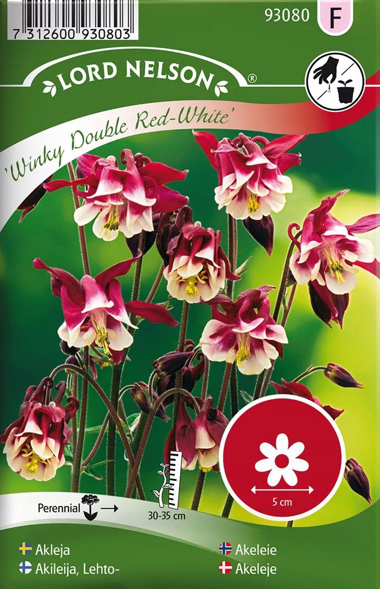 Akleja Winky Double Red-White