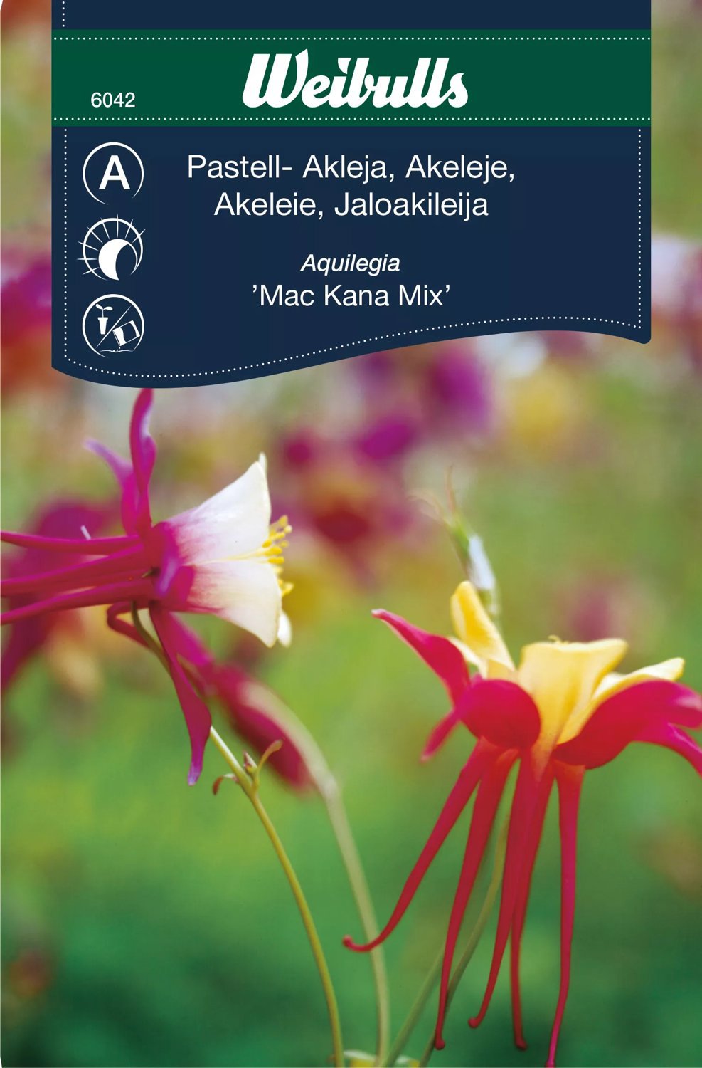 Akleja Mac Cana Mix