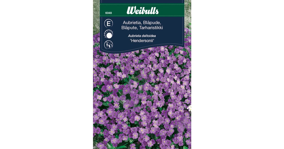 Aubrietia Hendersonii