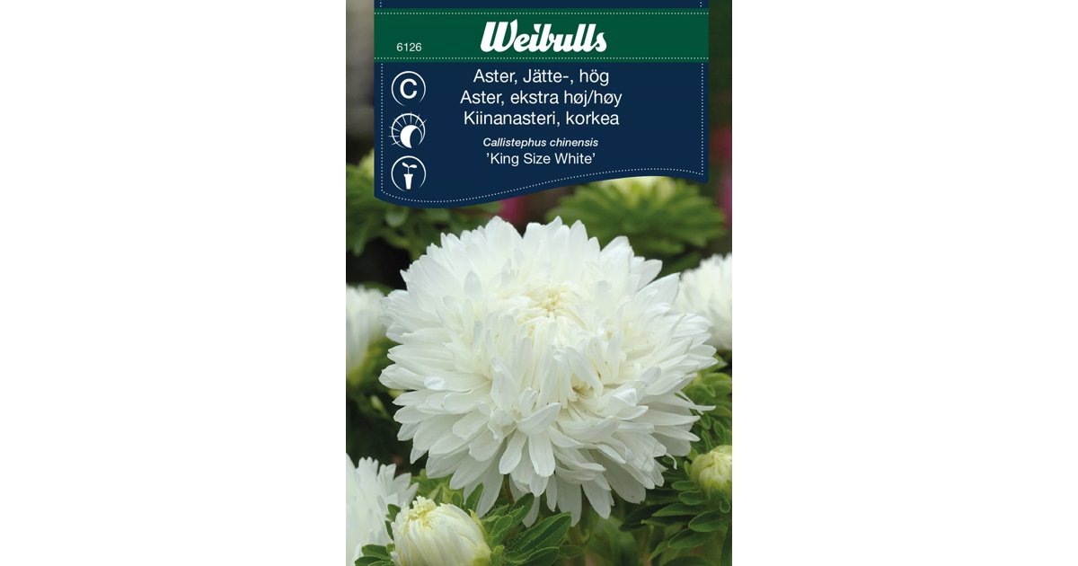 Aster King Size White