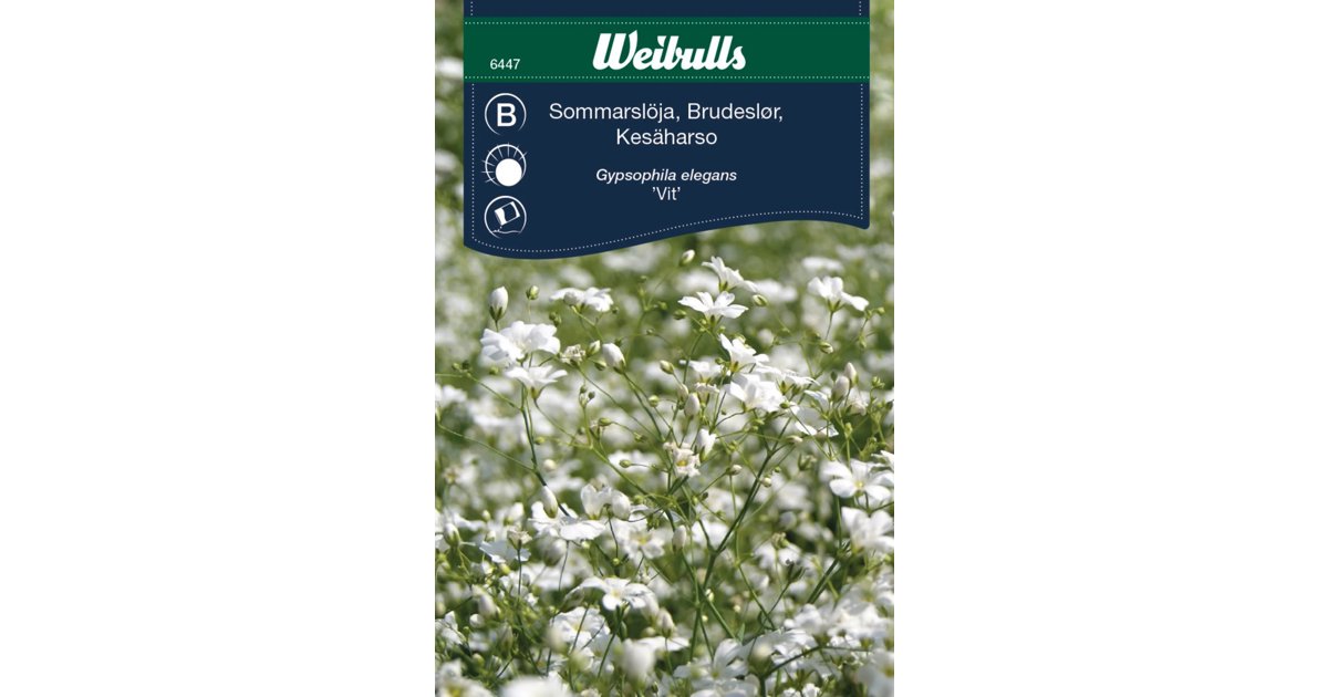 Sommarslöja