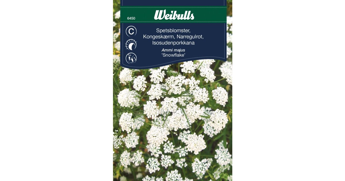 Spetsblomster Snowflake