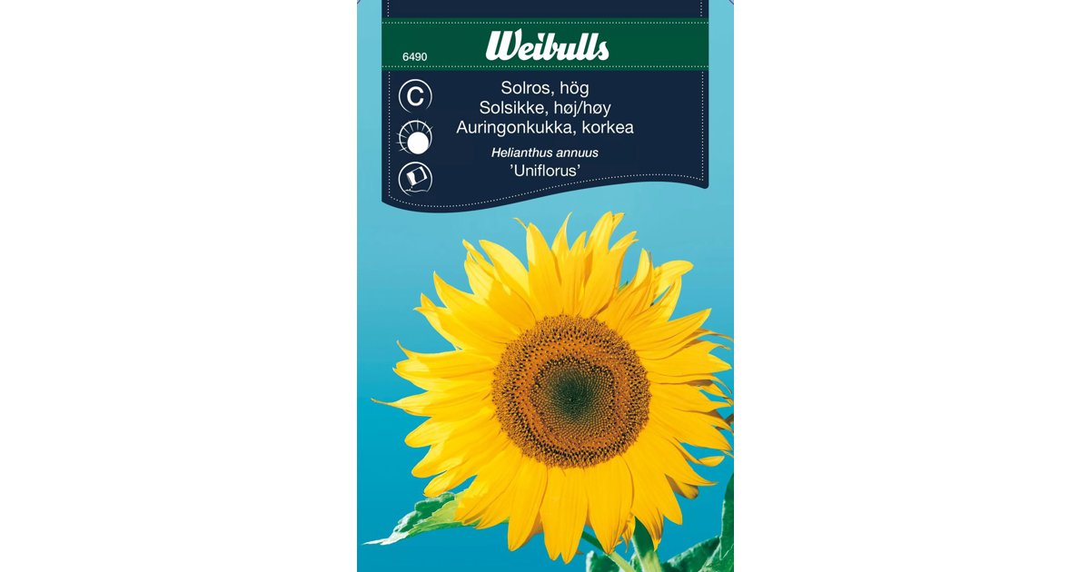 Solros Uniflorus