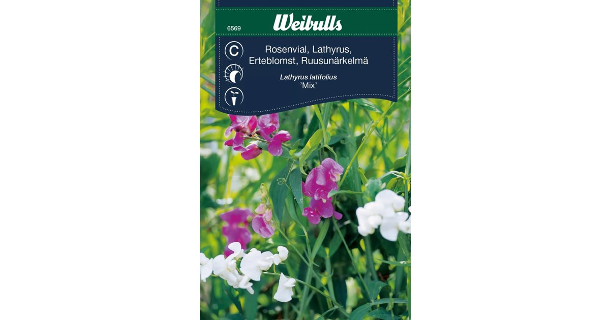 Rosenvial Mix