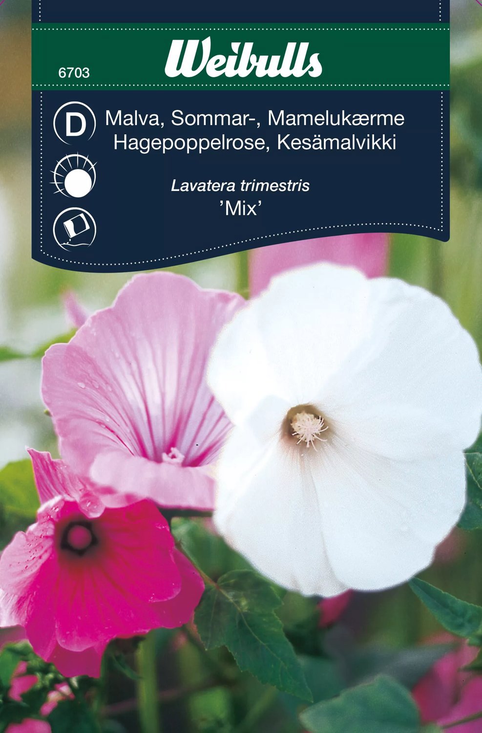 Malva Mix