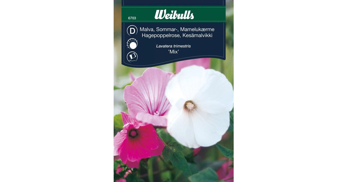 Malva Mix