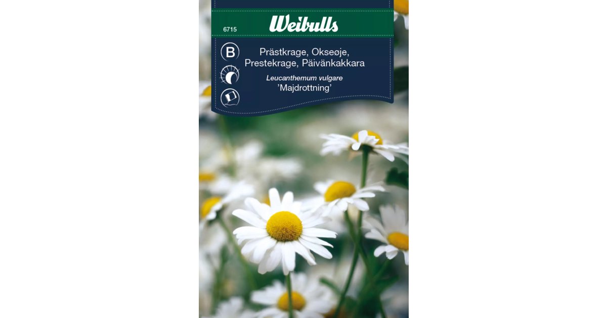 Prästkrage Majdrottning