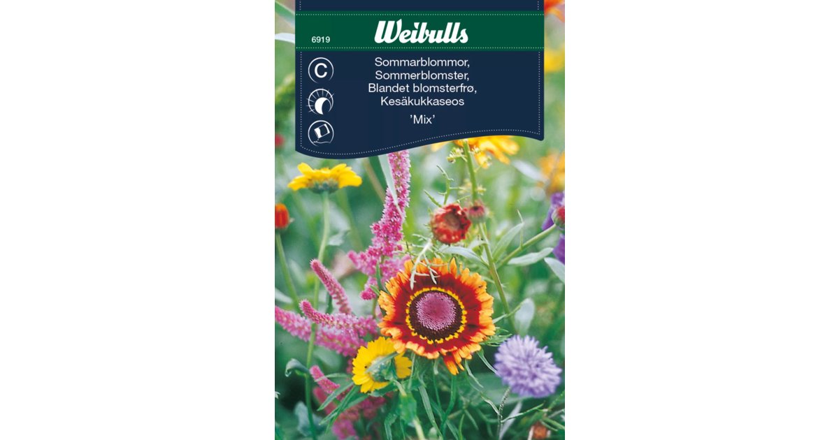 Sommarblommor Mix