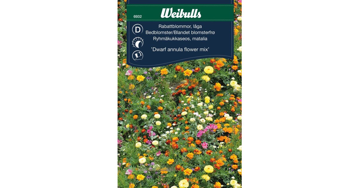 Rabattblommor Mix