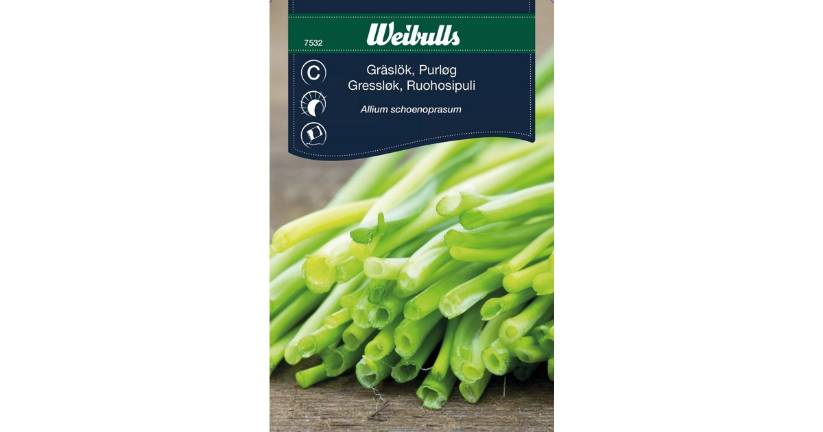 Gräslök Vanlig Finbladig