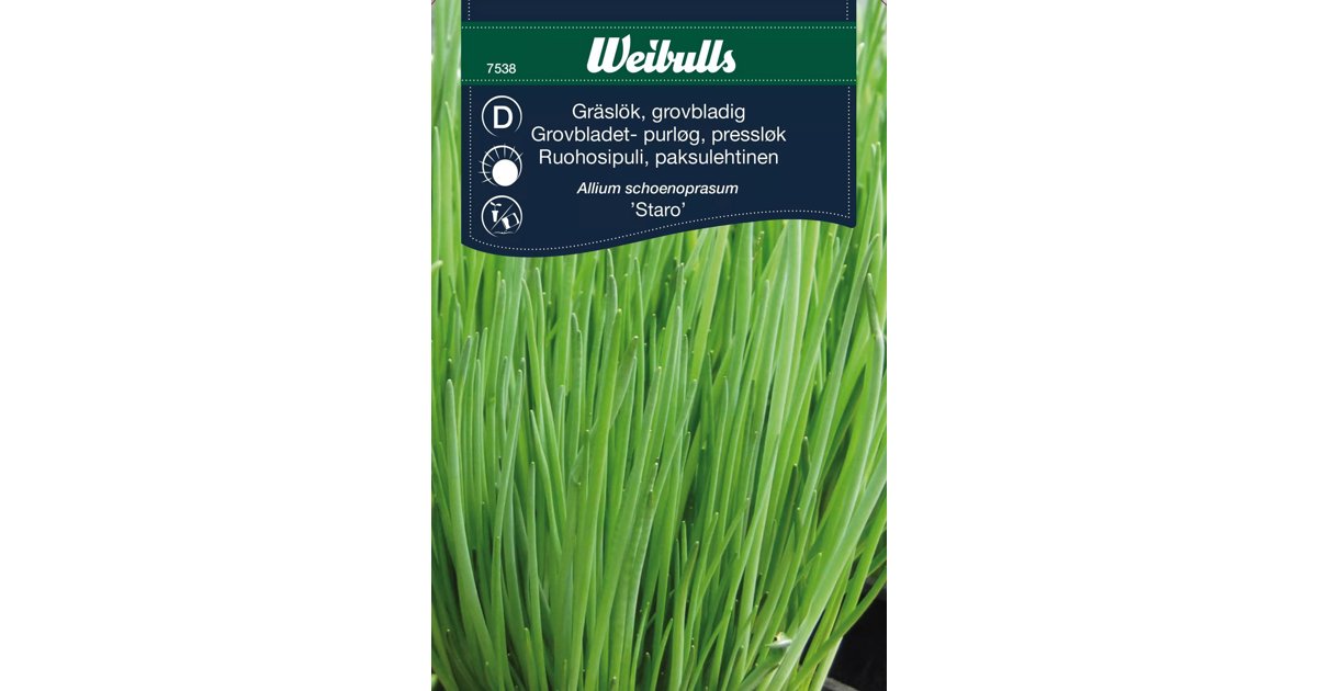 Gräslök Extra Grov Staro