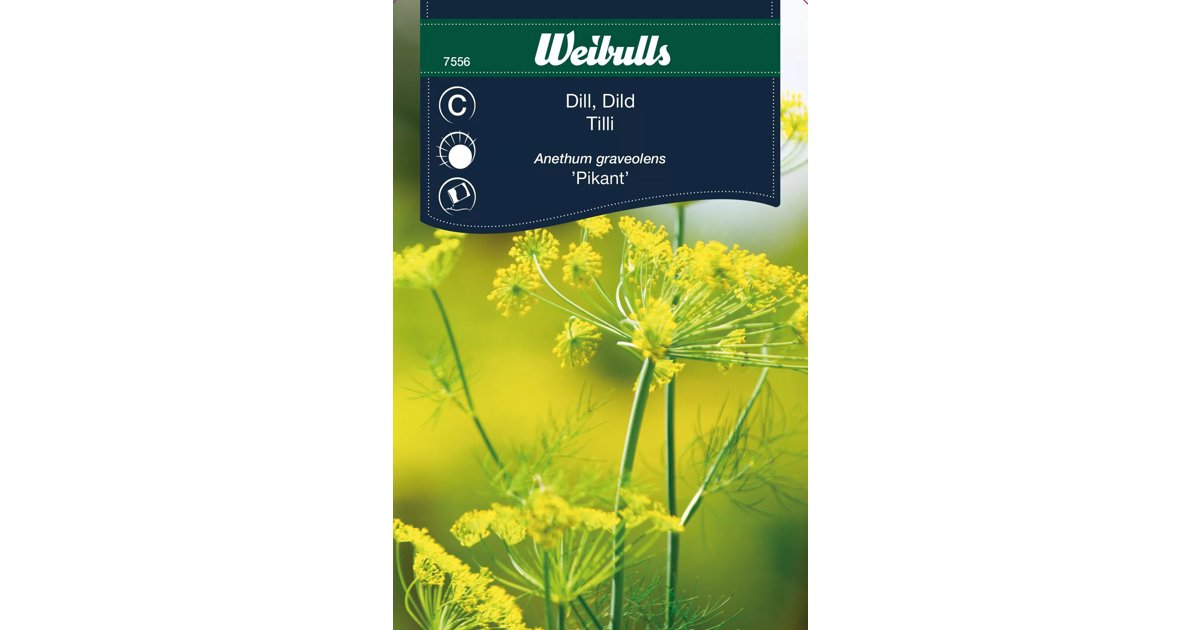 Dill Pikant