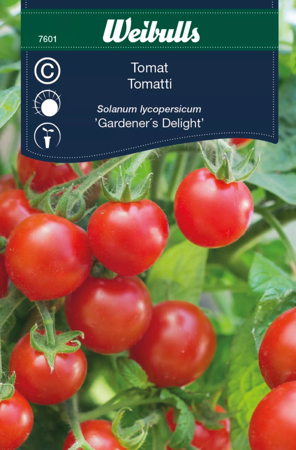 Tomat Gardeners Delight