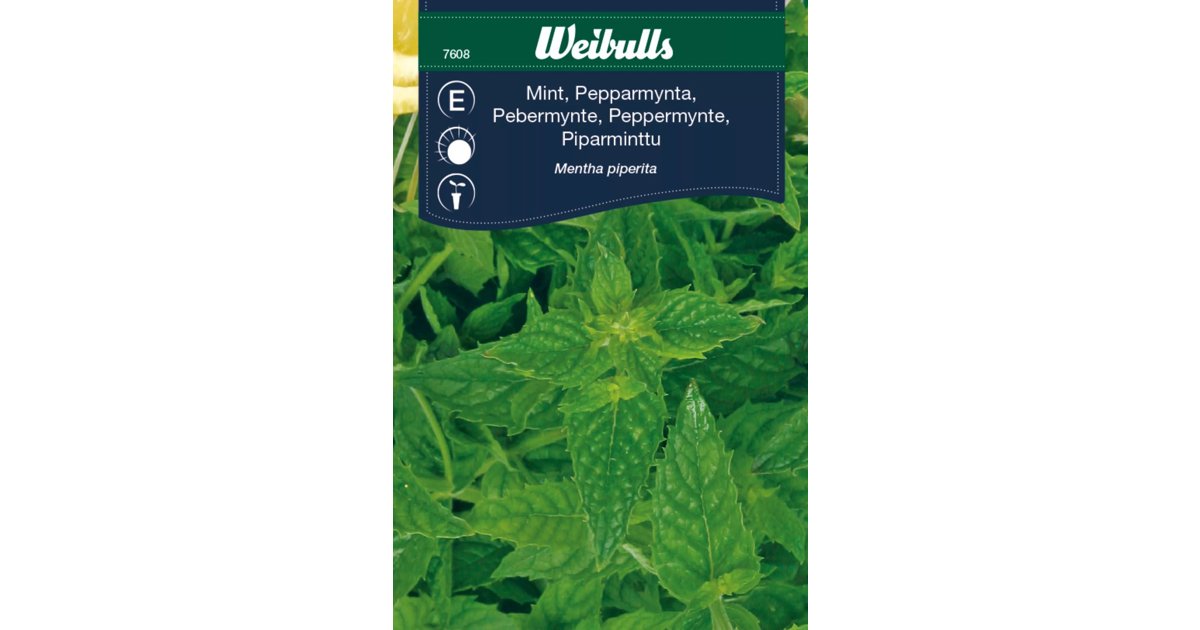 Mynta Peppermint