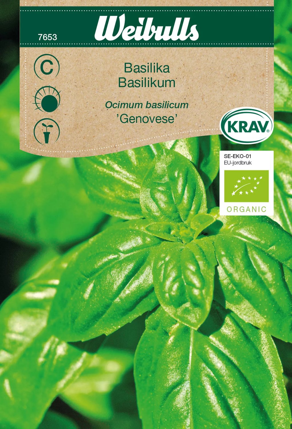 Produktbild på Basilika 'Genovese'