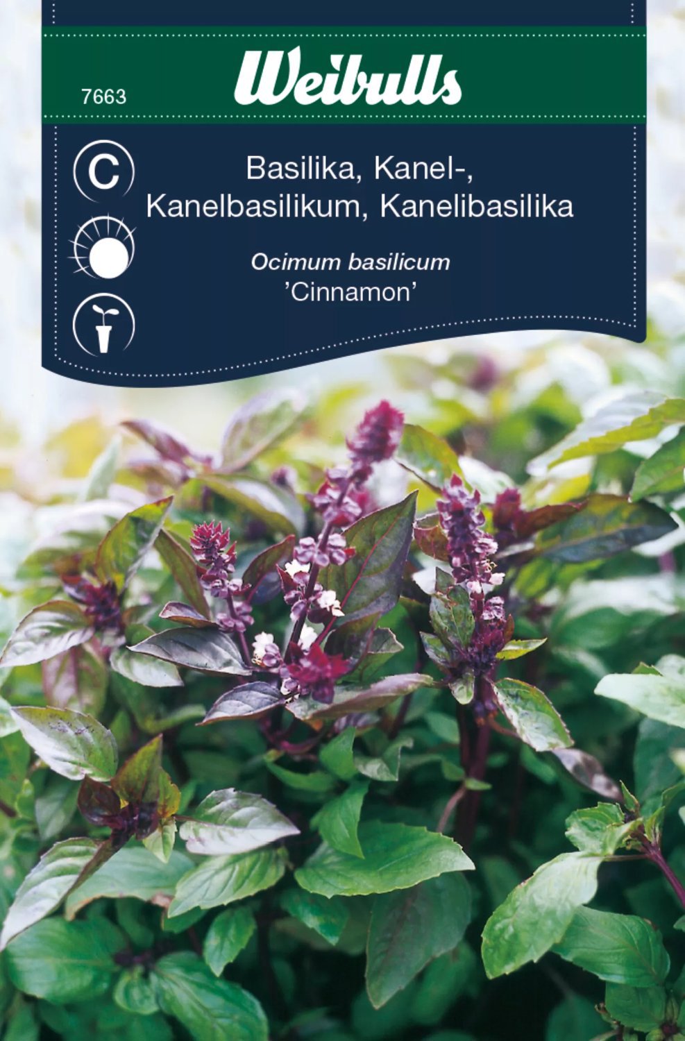 Produktbild på Basilika 'Cinnamon'