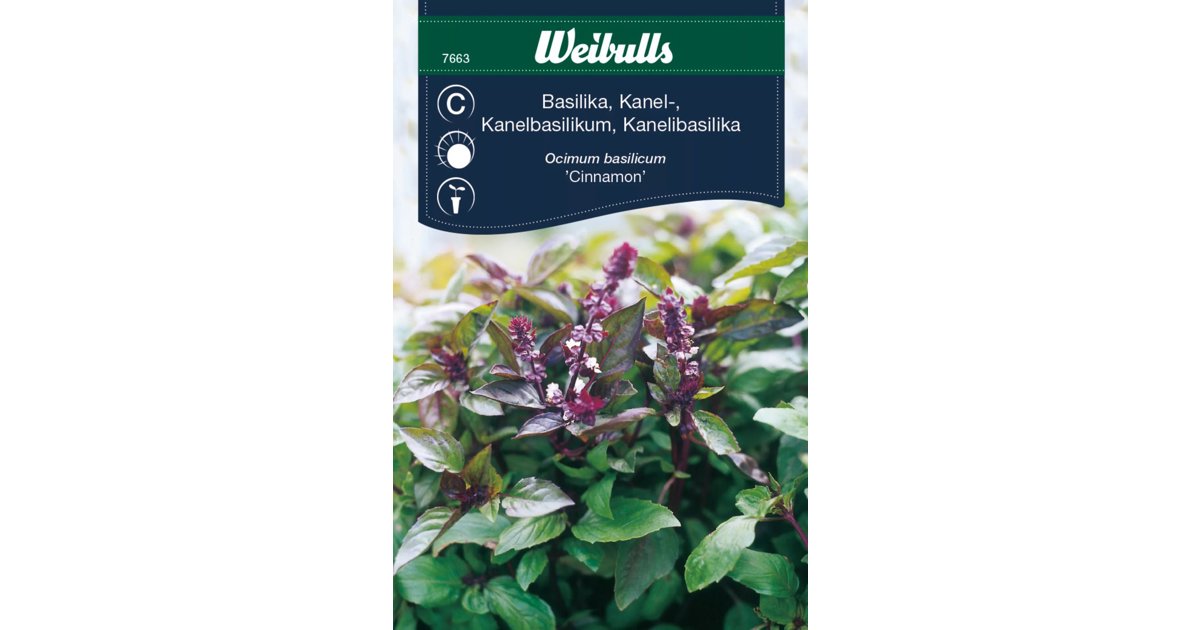 Basilika Cinnamon