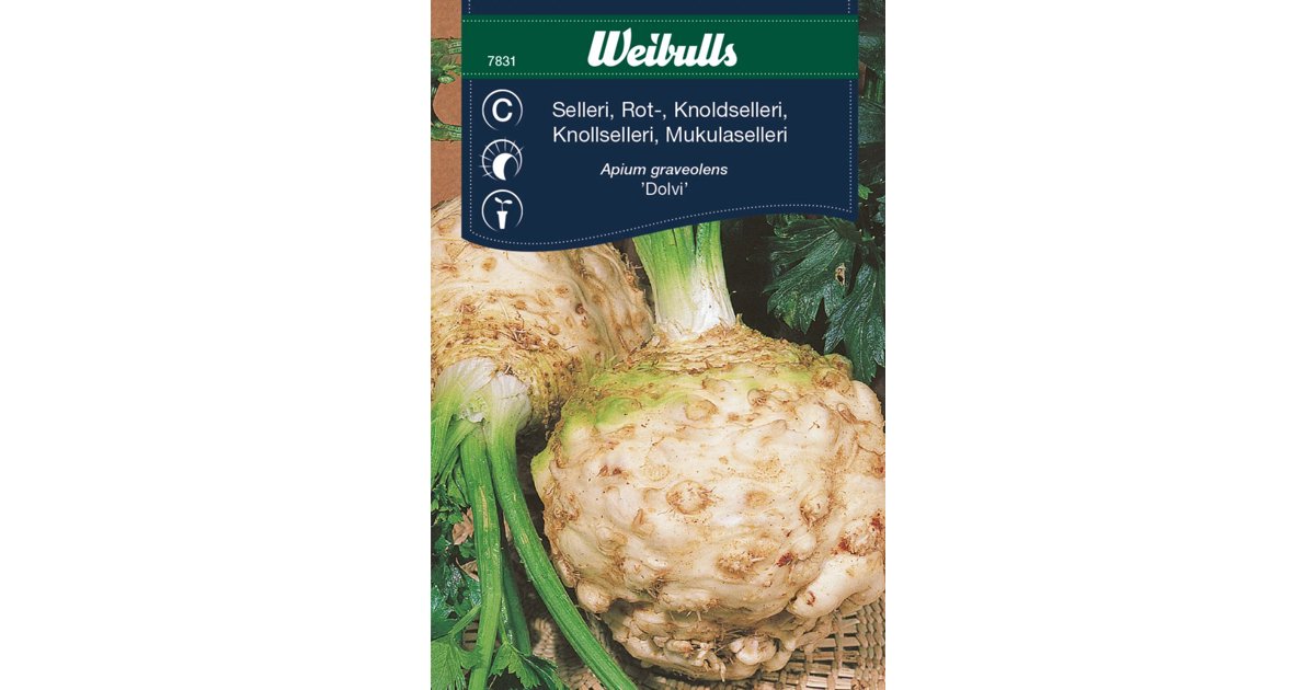 Rotselleri Dolvi