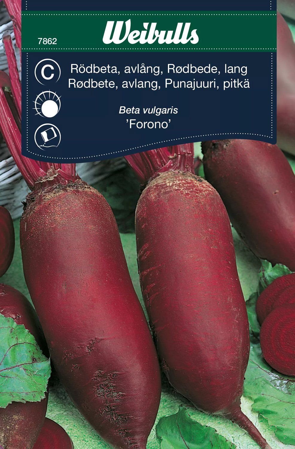 Rödbeta 'Forono'