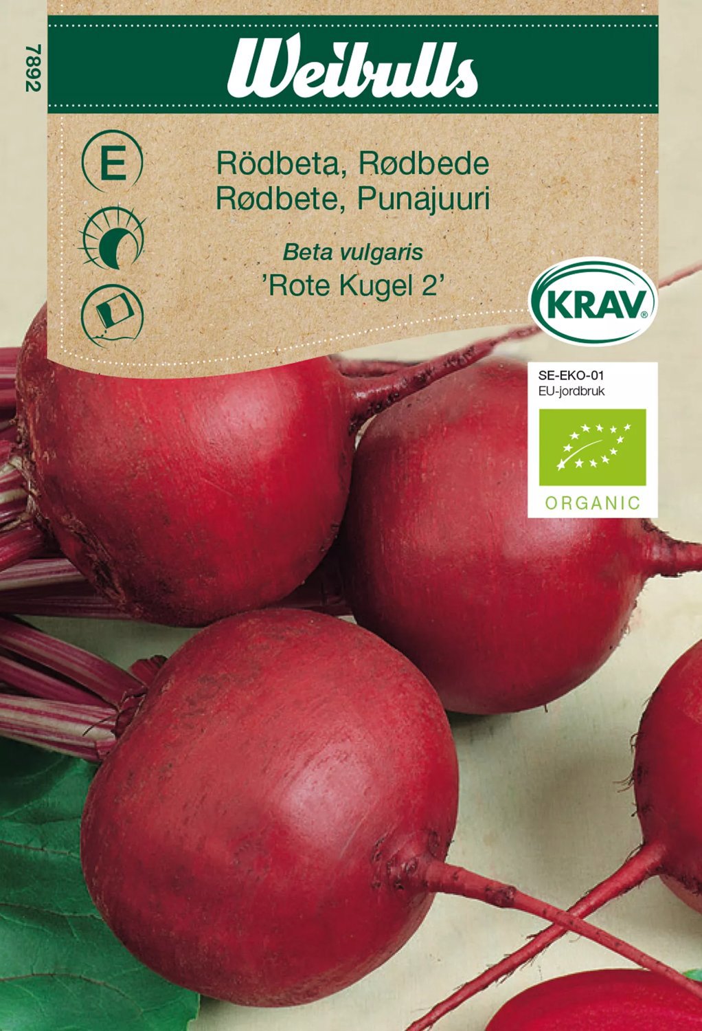 Rödbeta Rote Kugel 2