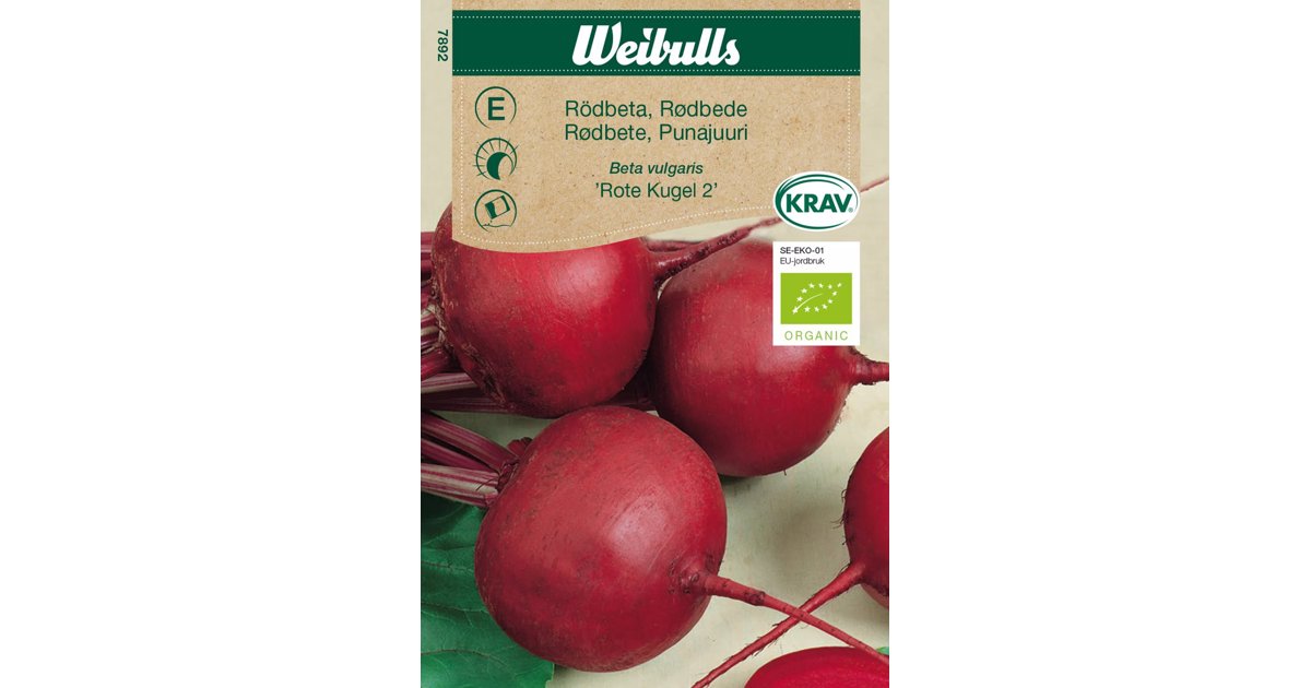 Rödbeta Rote Kugel 2