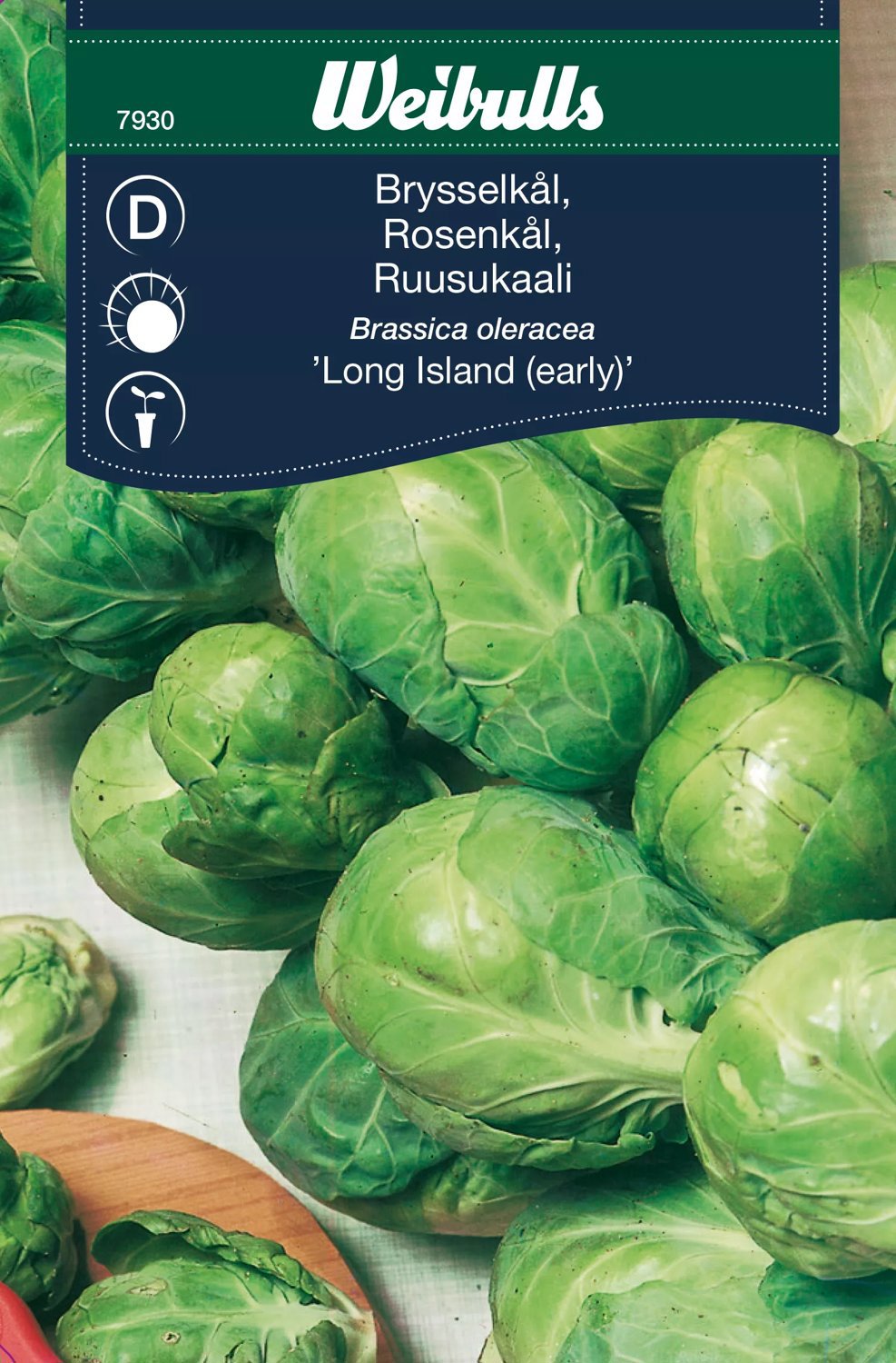 Brysselkål Long Island