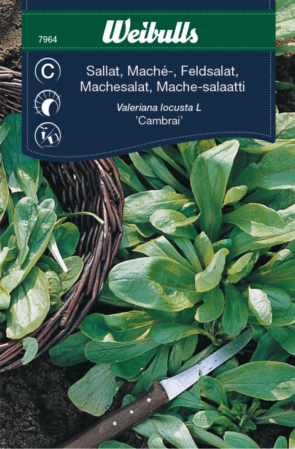 Machesallad Cambrai