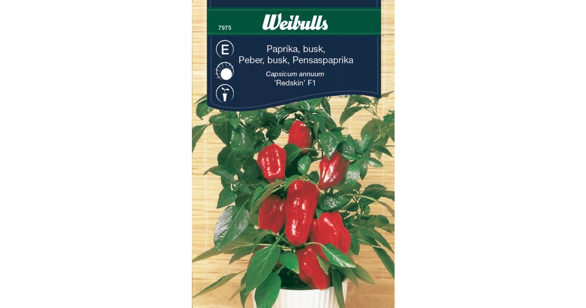 Paprika Redskin F1