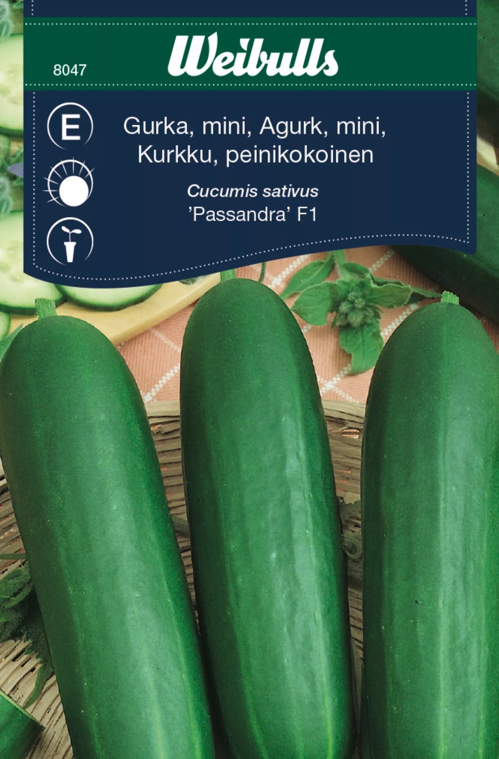 Gurka Passandra