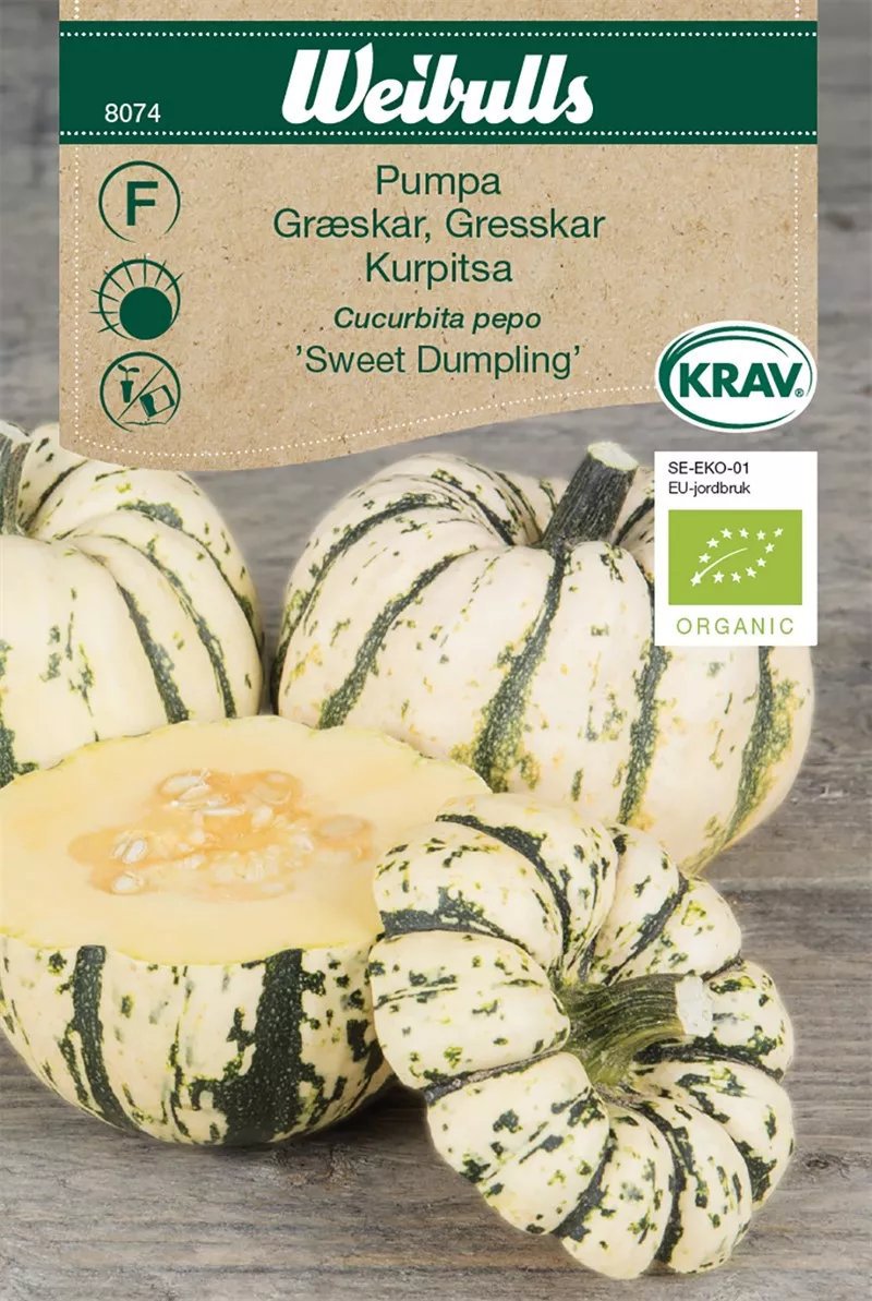 Pumpa Sweet Dumpling