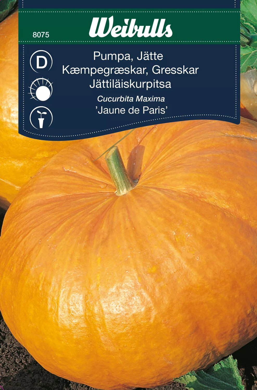 Jättepumpa Jeanue De Paris