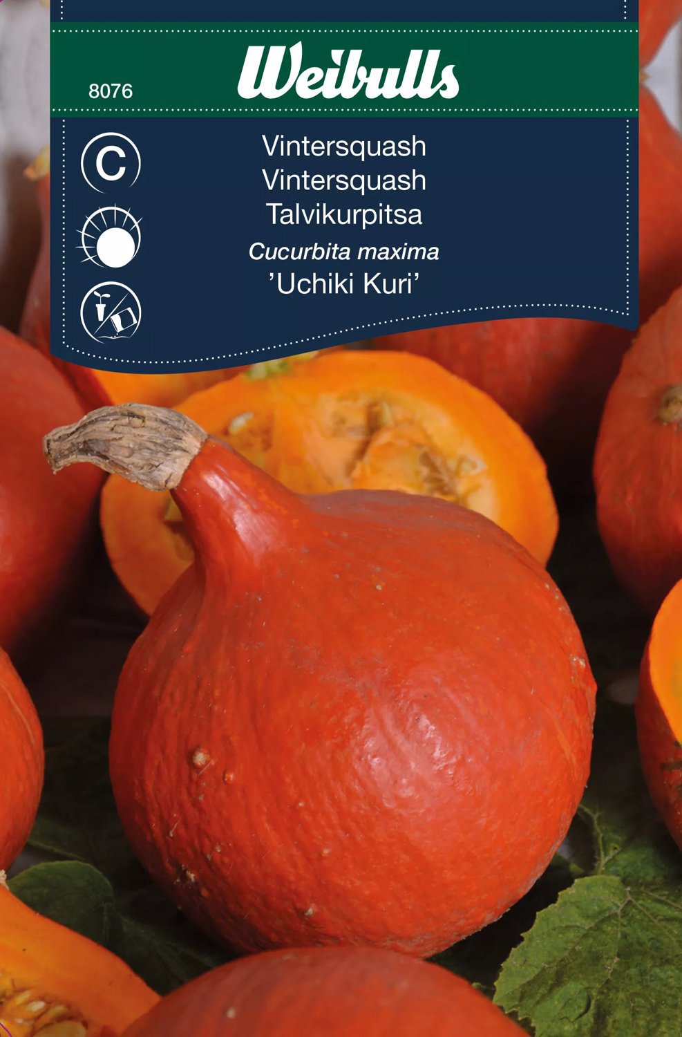 Jättepumpa Uchiki Kuri