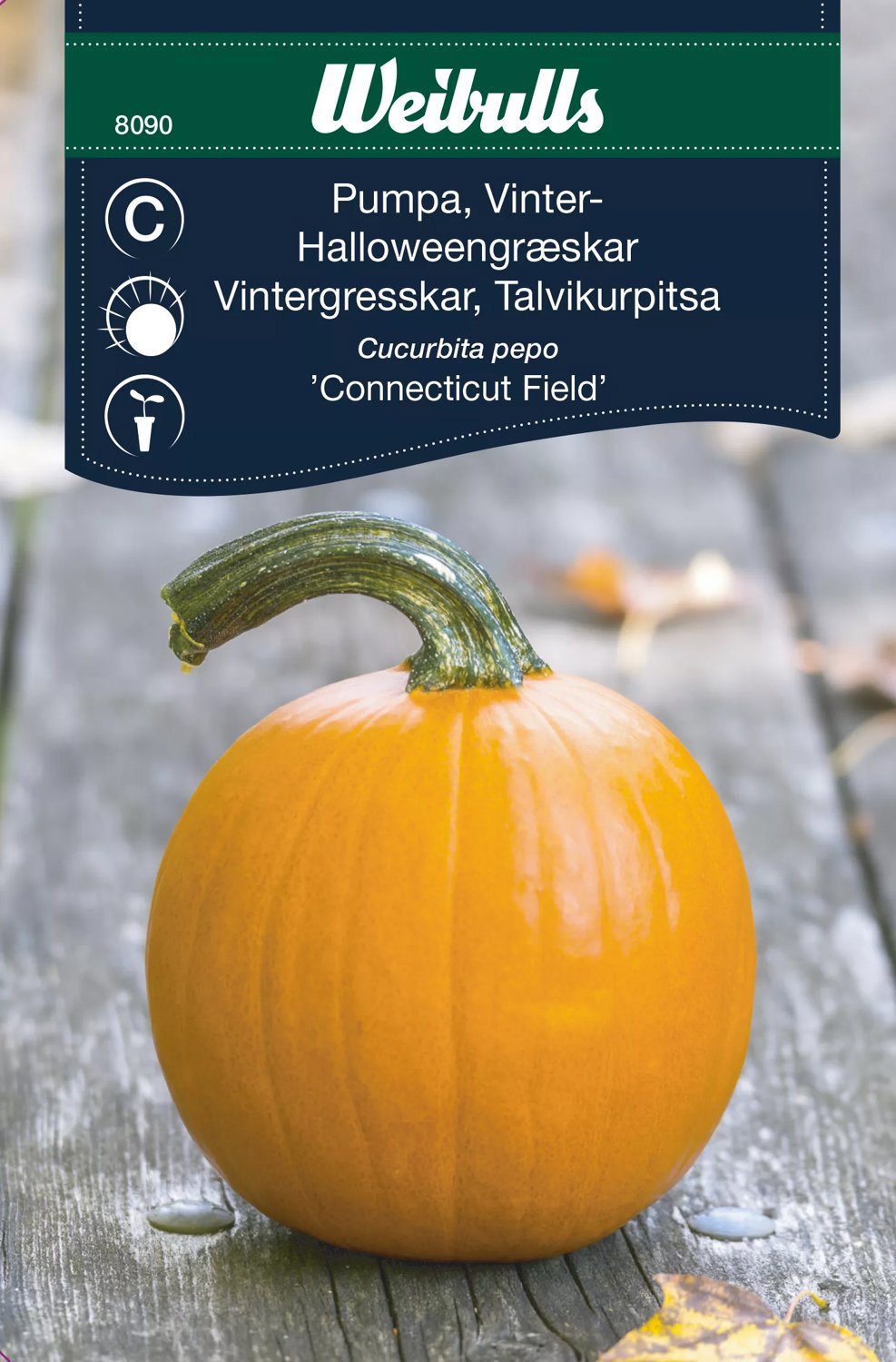 Vinterpumpa Connecticut Field