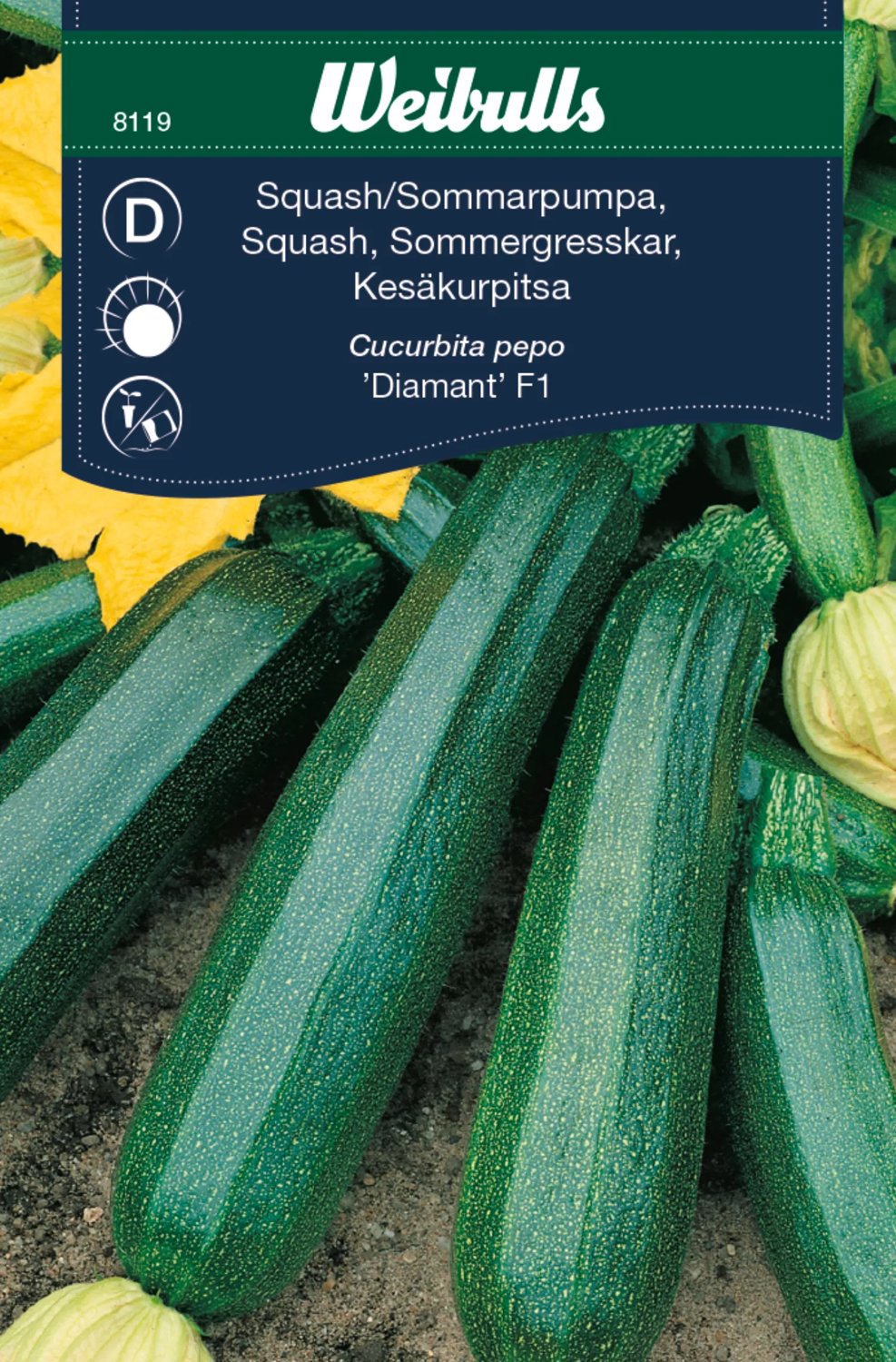 Squash/Sommarpumpa Diamant F1
