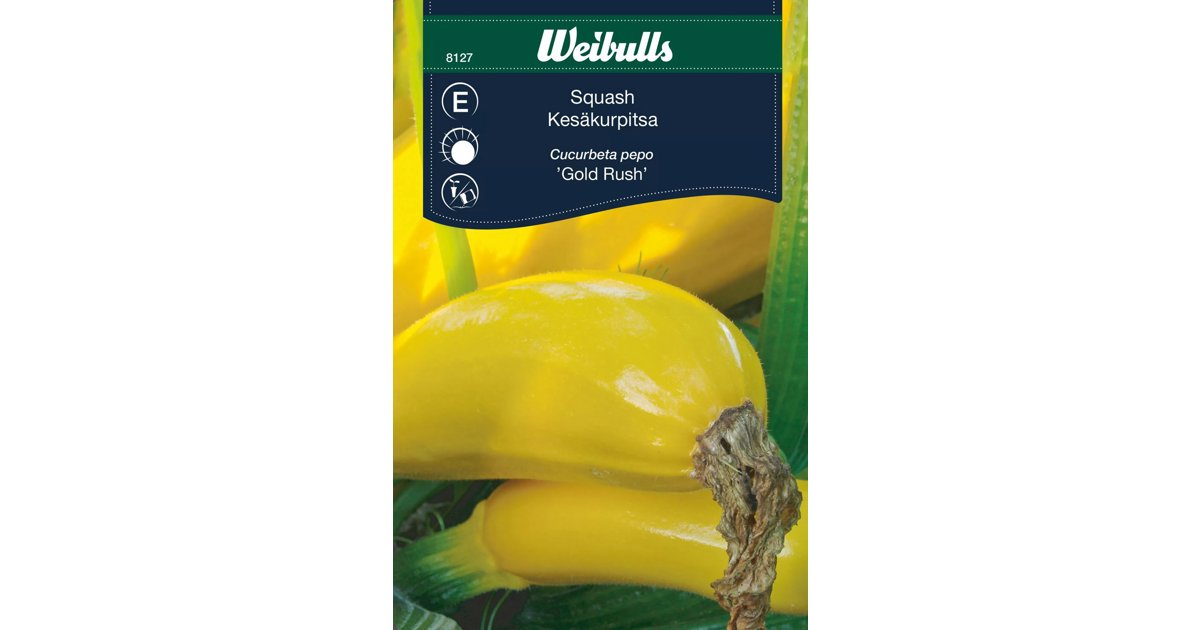 Squash Gold Rush