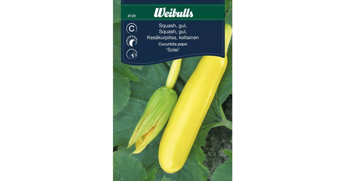 Squash Solei