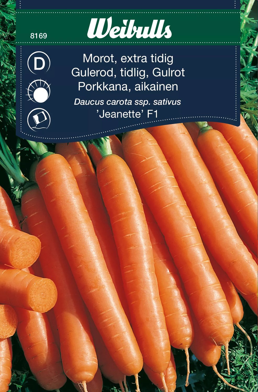 Morot Jeanette F1