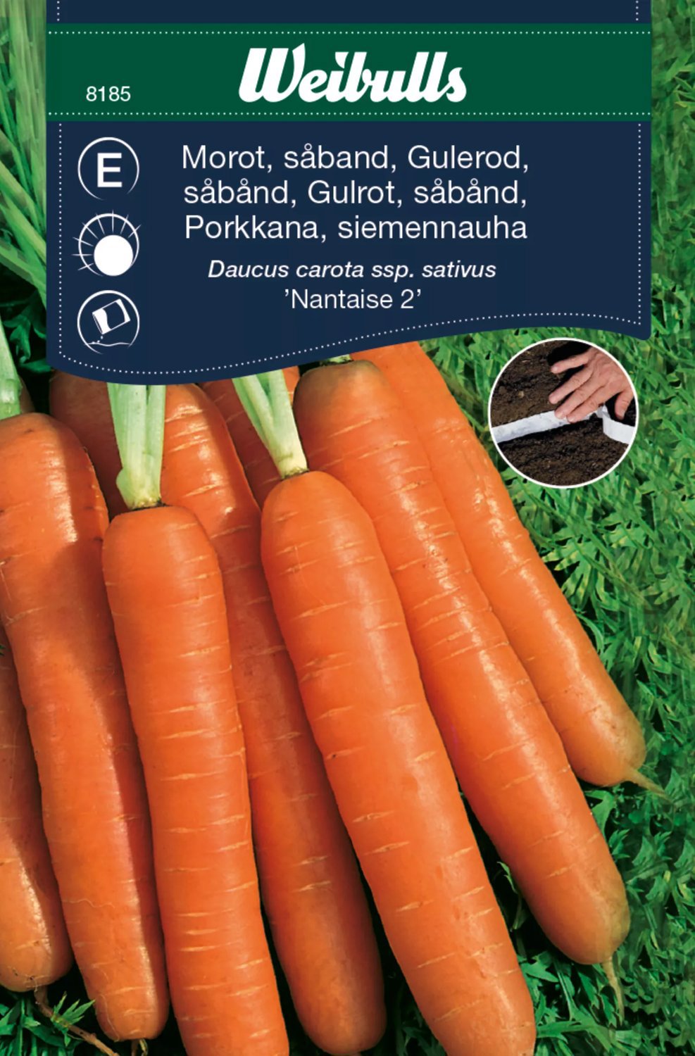 Morot Nantaise 2 Såband