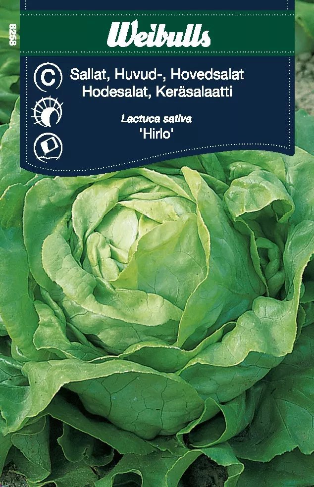 Huvudsallat Hirlo