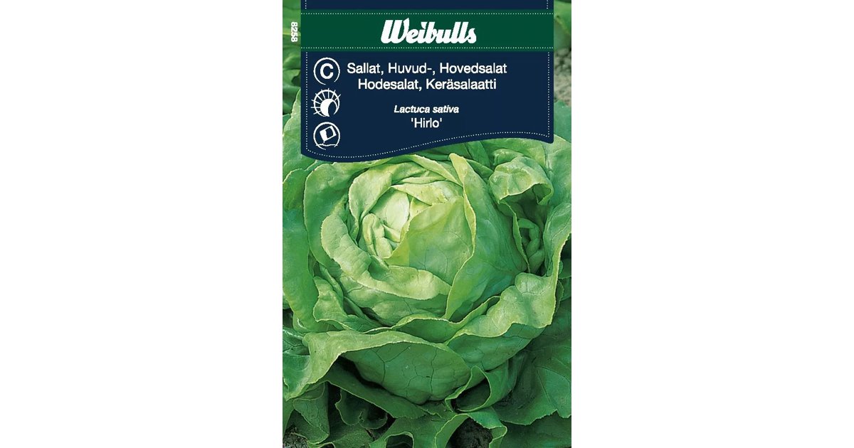 Huvudsallat Hirlo