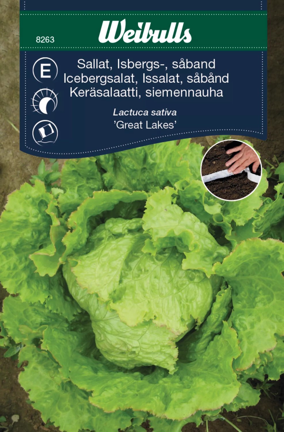 Isbergssallat Great Lakes Såband
