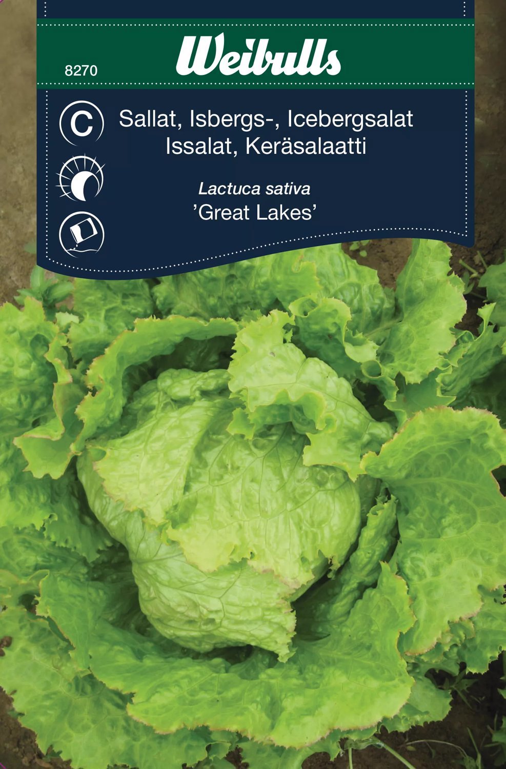 Isbergssallat Great Lakes