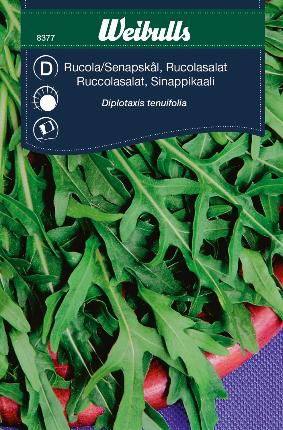 Ruccola, Sandsenap
