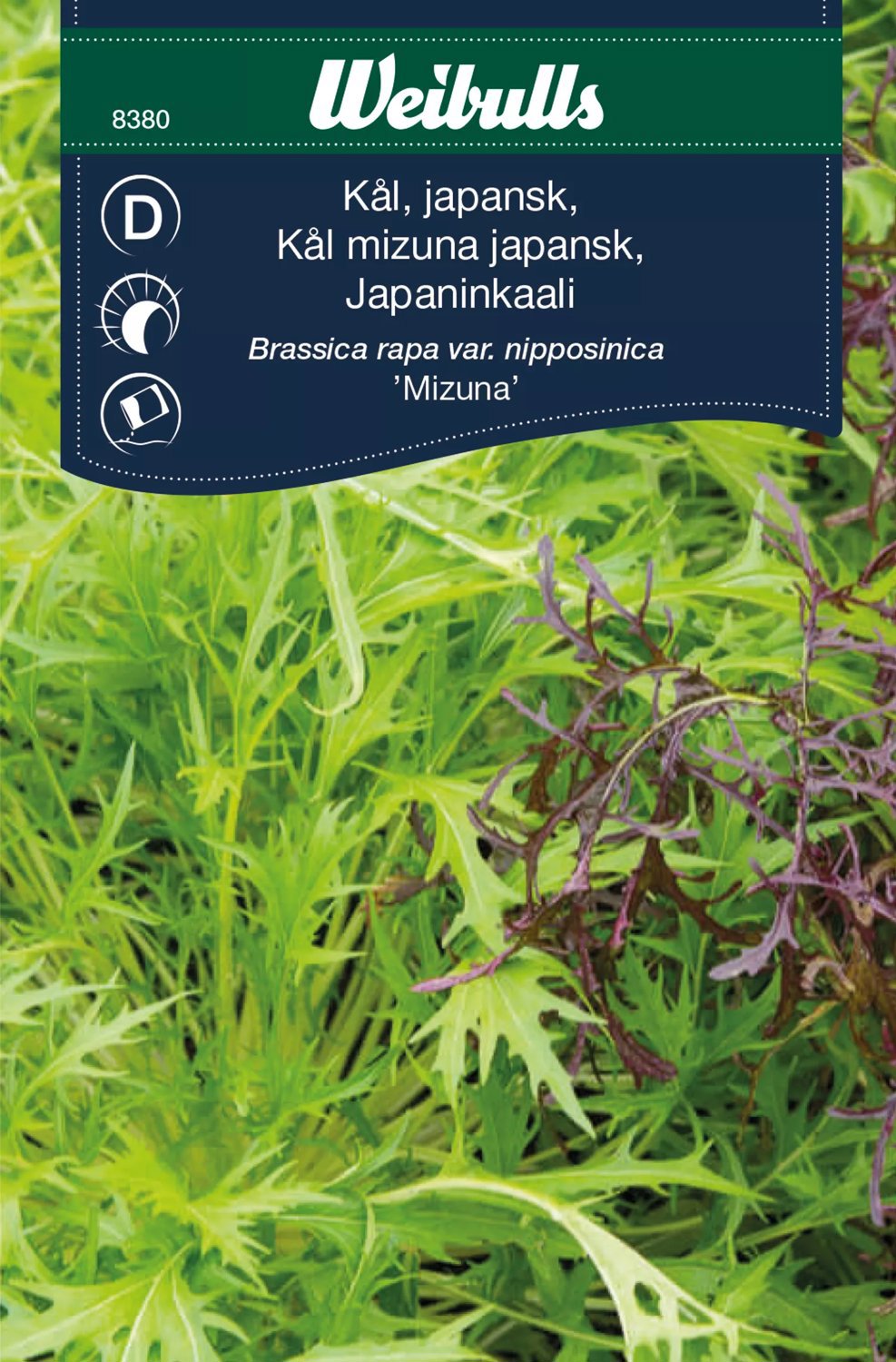 Kål Mizuna