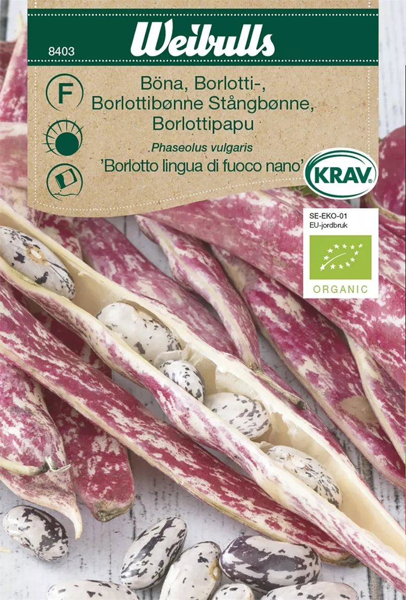 Borlottiböna Borlotto Lingua Nano