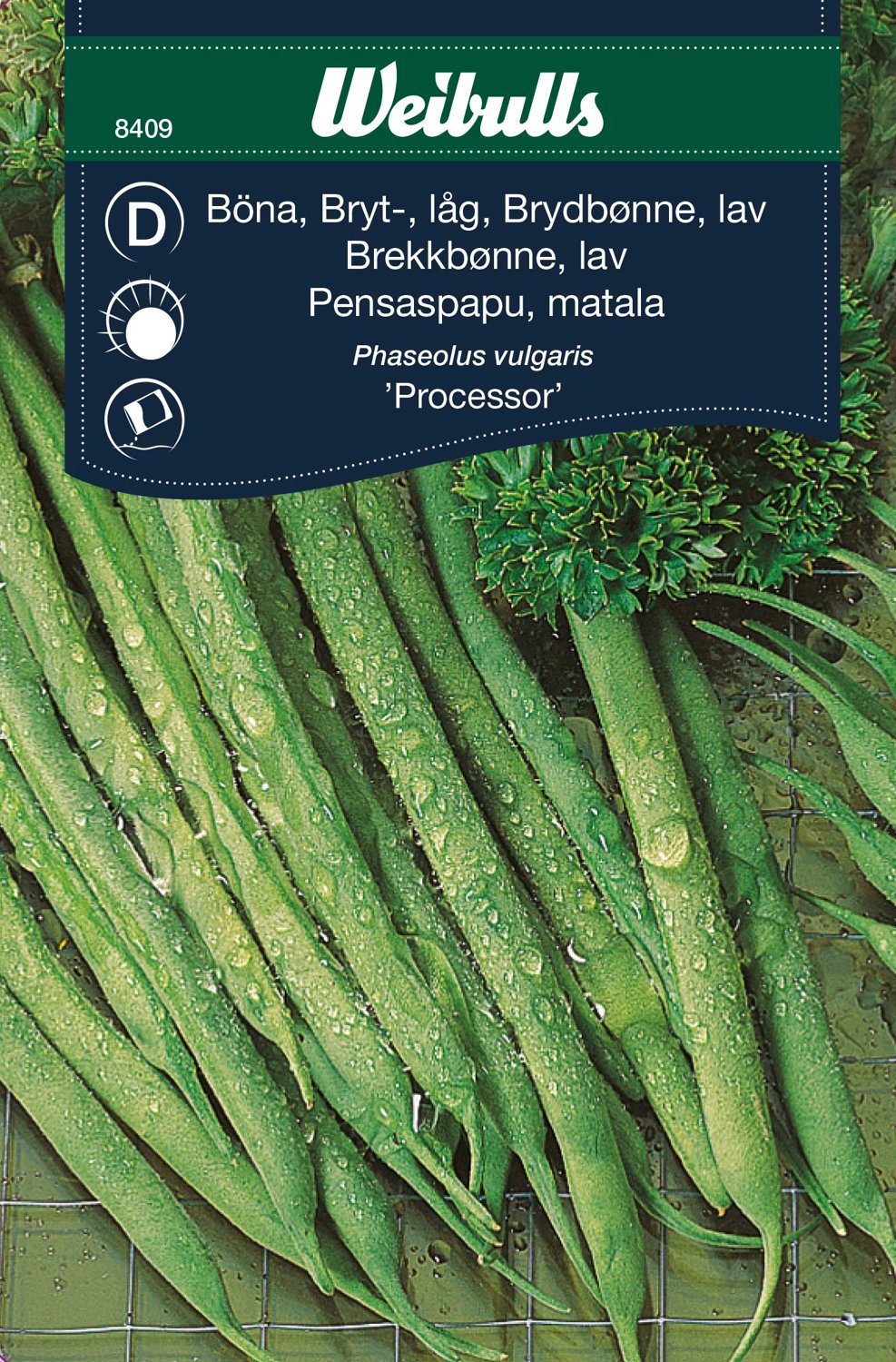 Brytböna Processor