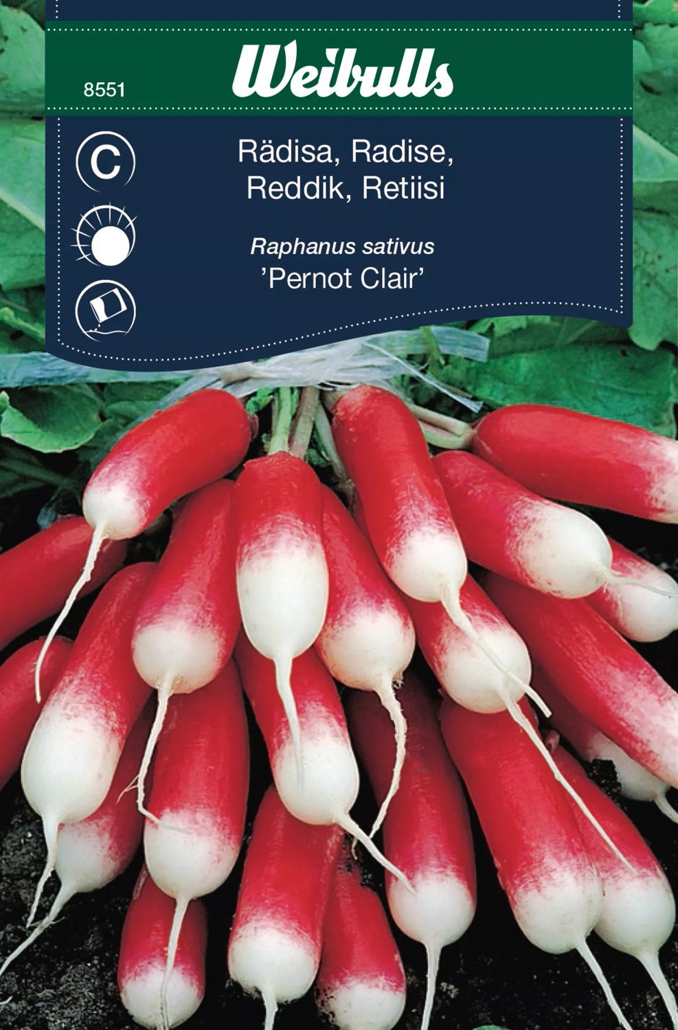 Rädisa Pernot Clair
