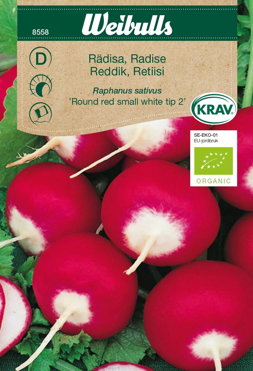 Rädisa Round Red Small White Tip 2
