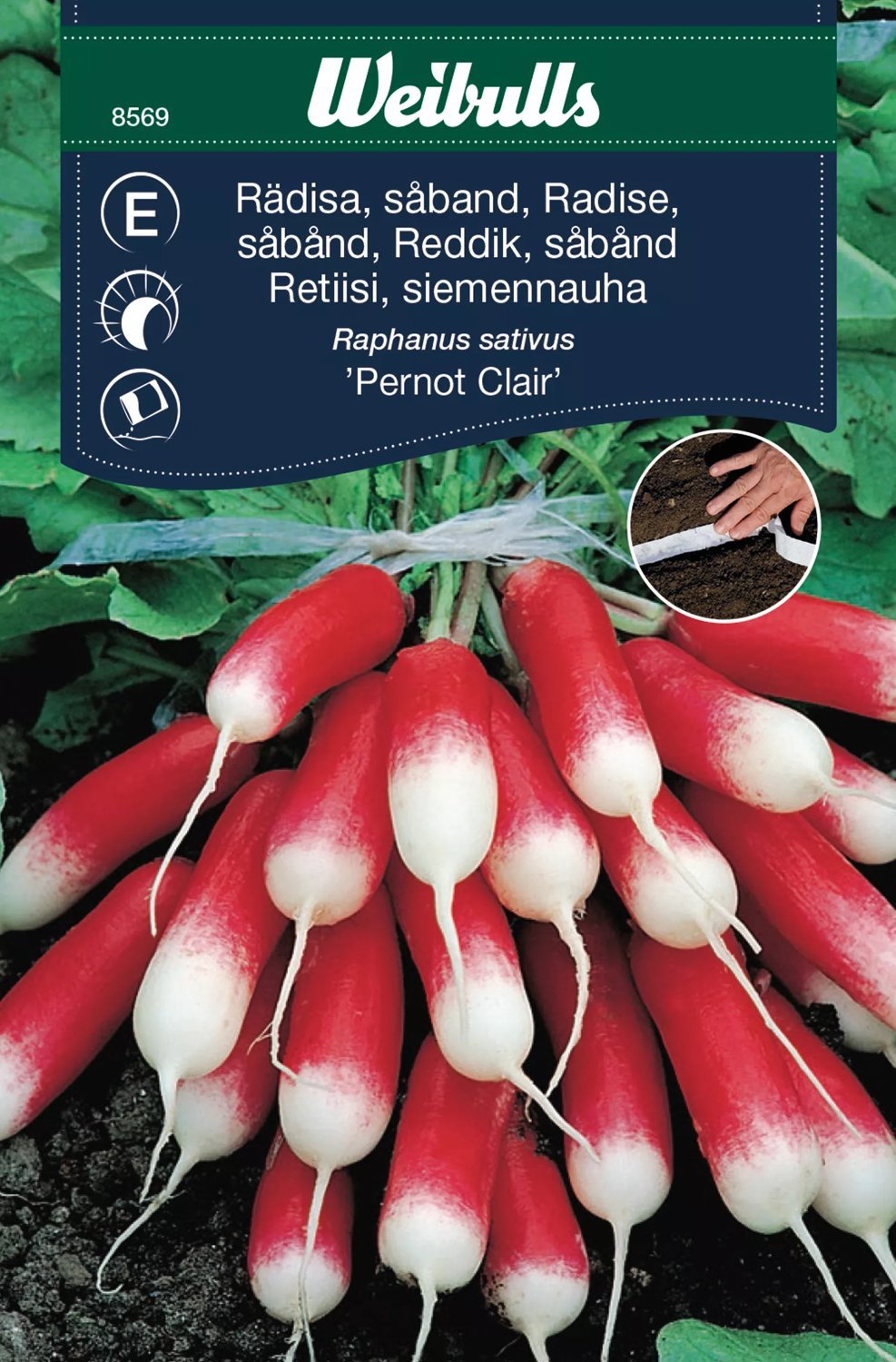 Rädisa Pernot Clair Såband